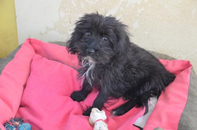 multimedia-foto44561-701-3