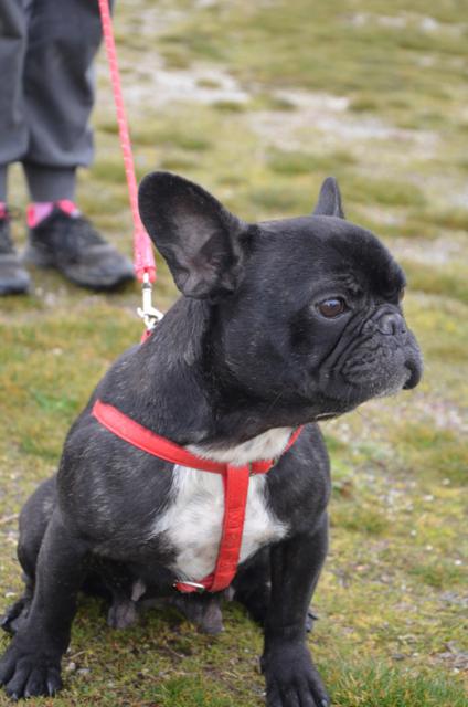 multimedia-foto44570-646-3