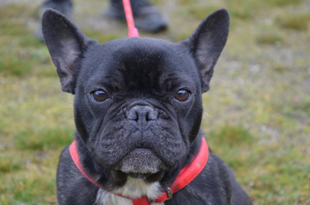 multimedia-foto44571-647-3