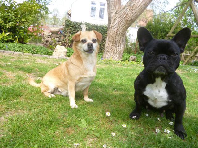 multimedia-foto44572-647-3