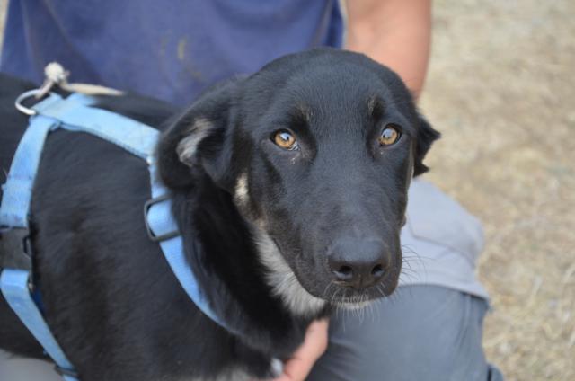 multimedia-foto44575-7-3