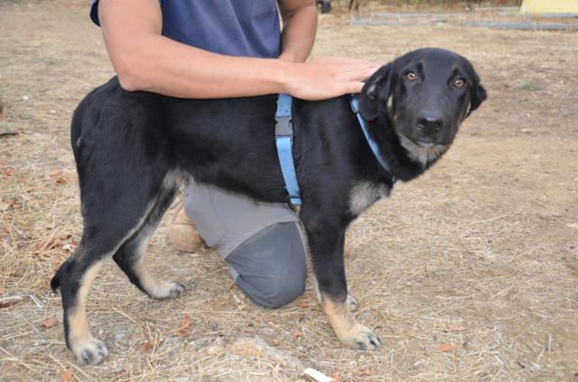 multimedia-foto44576-8-3