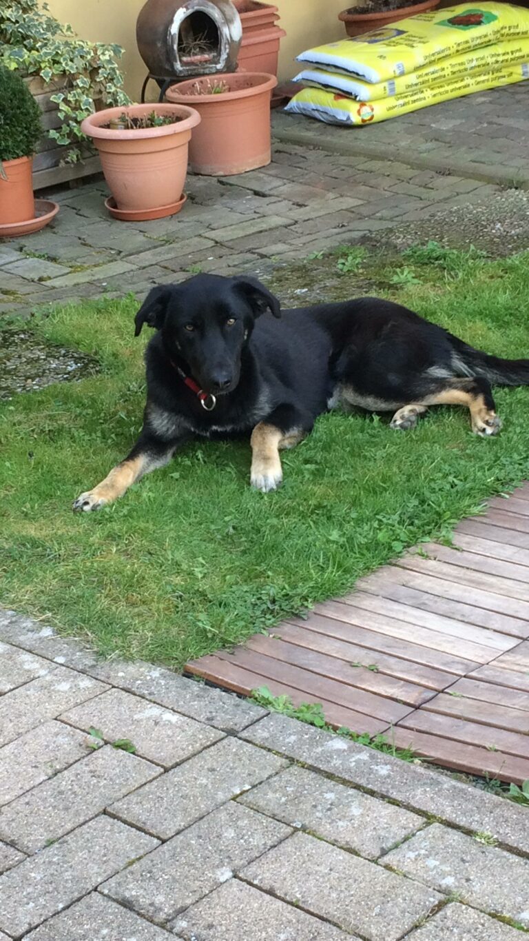 multimedia-foto44578-8-3