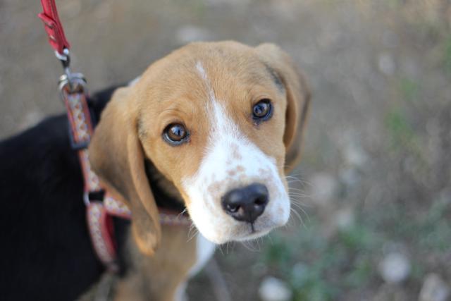 multimedia-foto44579-308-3