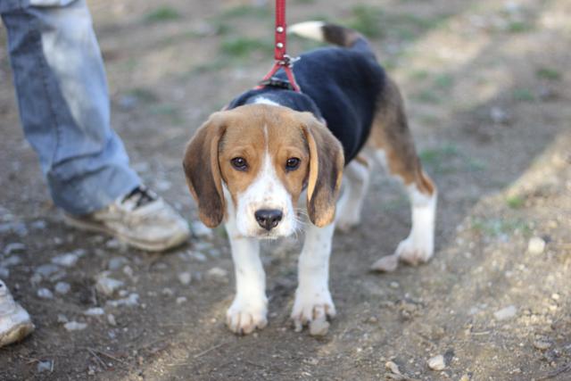 multimedia-foto44580-308-3