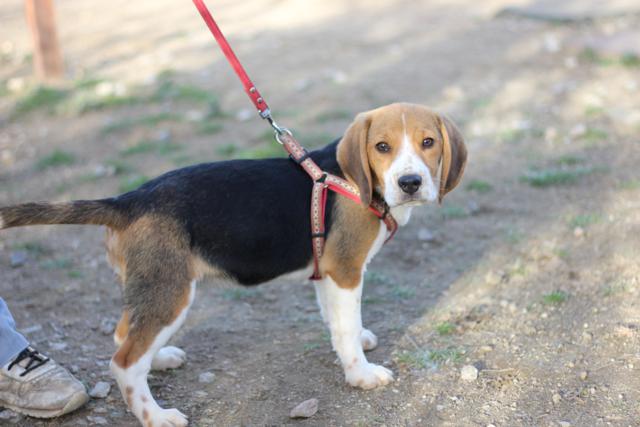 multimedia-foto44581-309-3