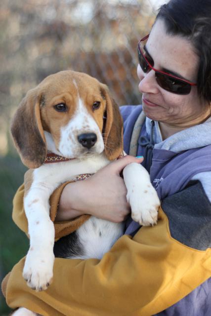 multimedia-foto44582-309-3