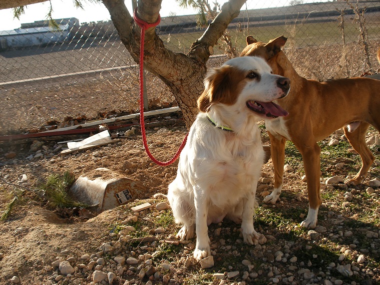 multimedia-foto44602-212-3