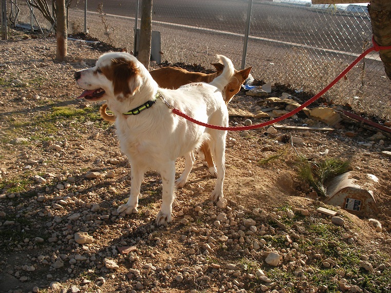 multimedia-foto44603-213-3