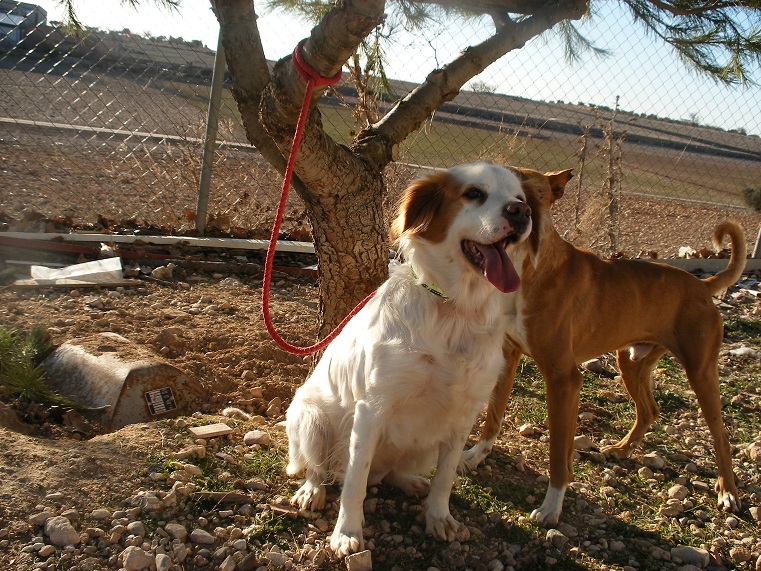 multimedia-foto44604-214-3