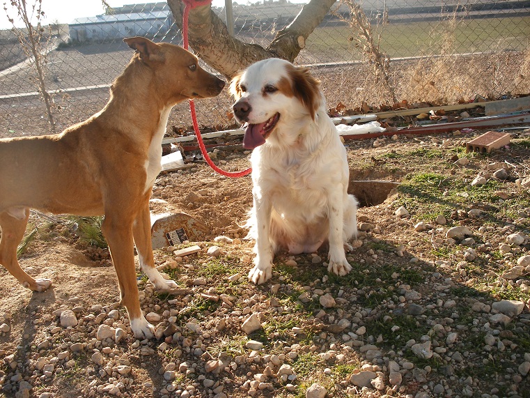 multimedia-foto44605-236-3