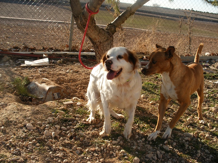 multimedia-foto44606-236-3