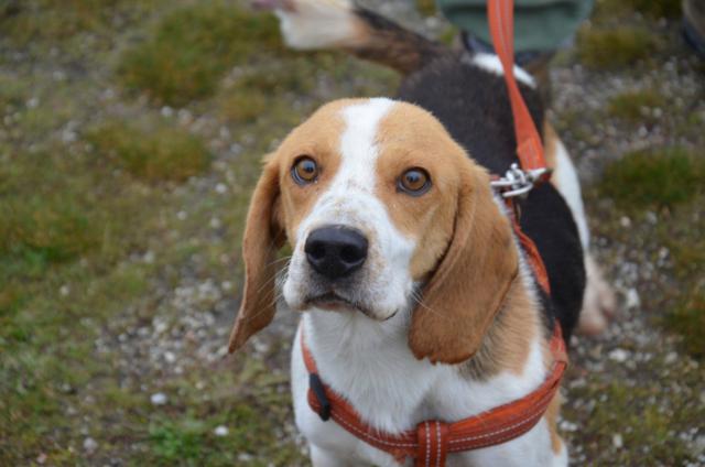 multimedia-foto44607-480-3