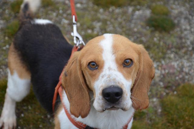 multimedia-foto44608-480-3