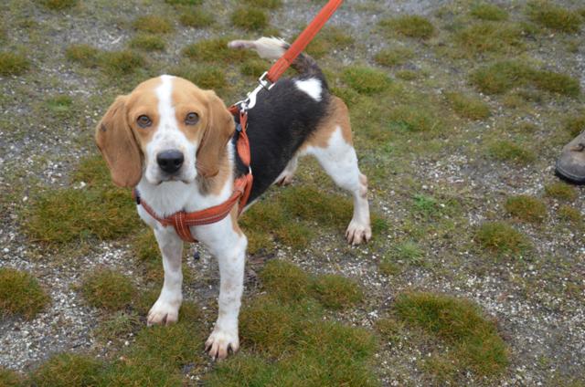 multimedia-foto44609-480-3