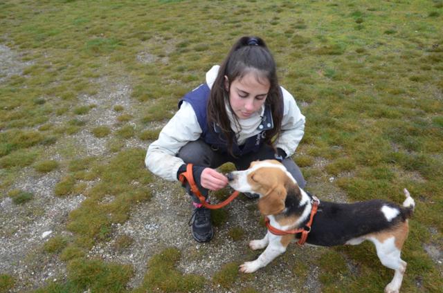 multimedia-foto44610-481-3