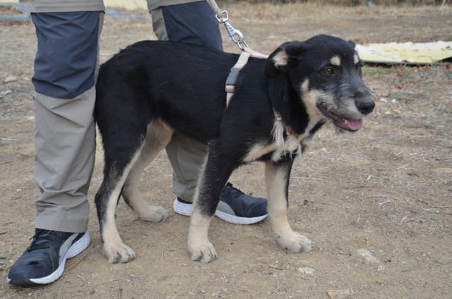 multimedia-foto44613-774-3