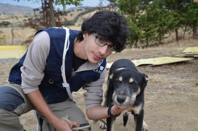 multimedia-foto44614-775-3