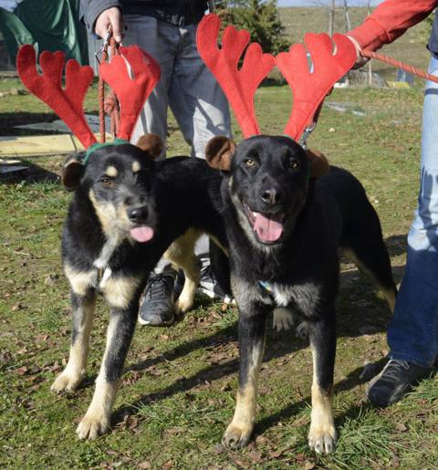 multimedia-foto44615-806-3