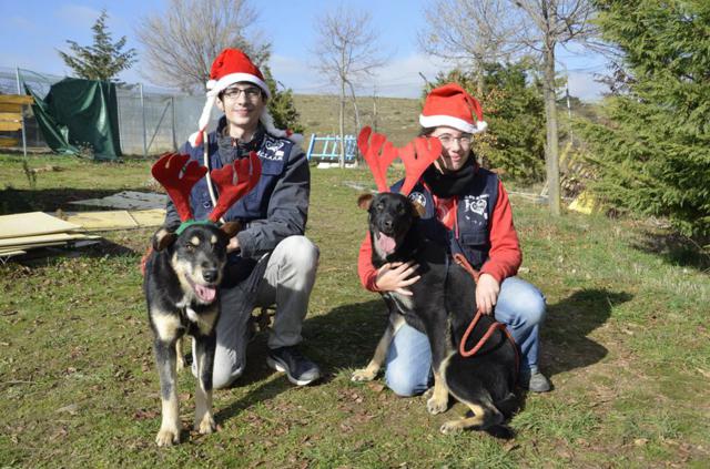 multimedia-foto44618-852-3