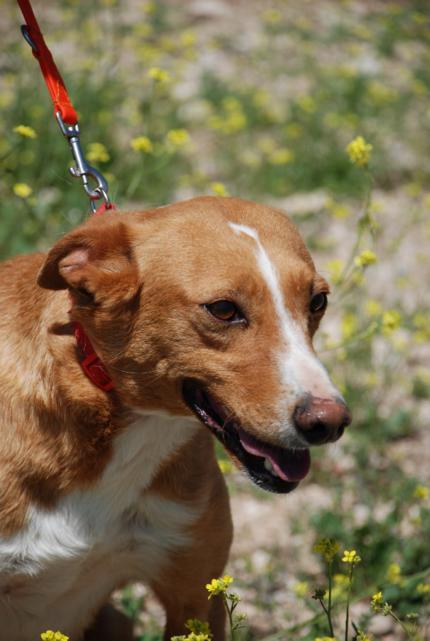 multimedia-foto44623-368-3