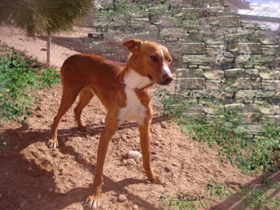 multimedia-foto44624-368-3