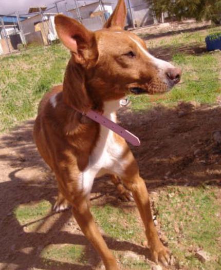 multimedia-foto44626-598-3