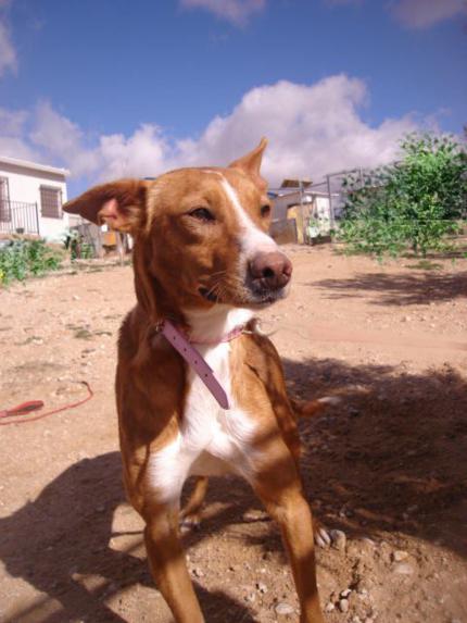 multimedia-foto44627-598-3