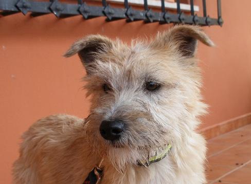 multimedia-foto44628-894-3