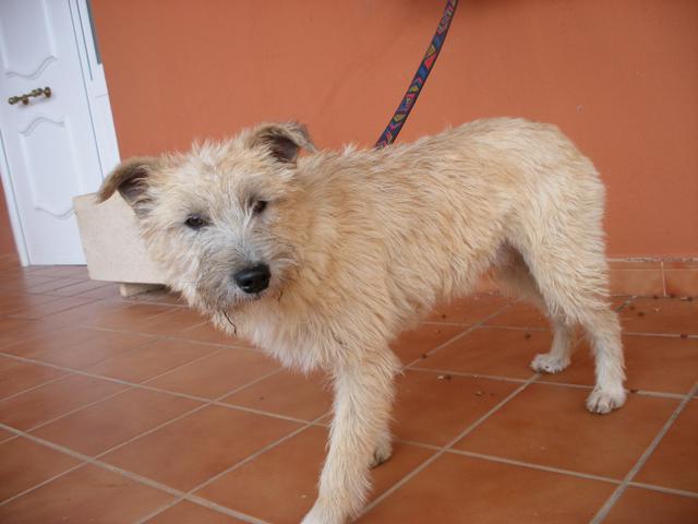 multimedia-foto44629-894-3