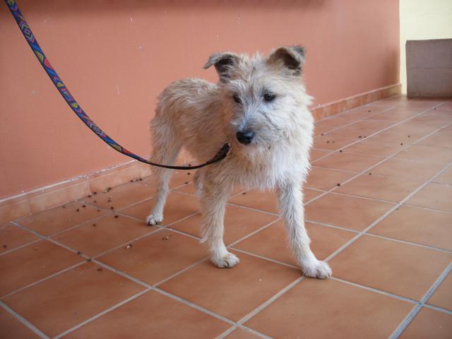 multimedia-foto44630-894-3