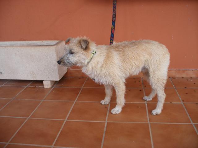 multimedia-foto44631-895-3