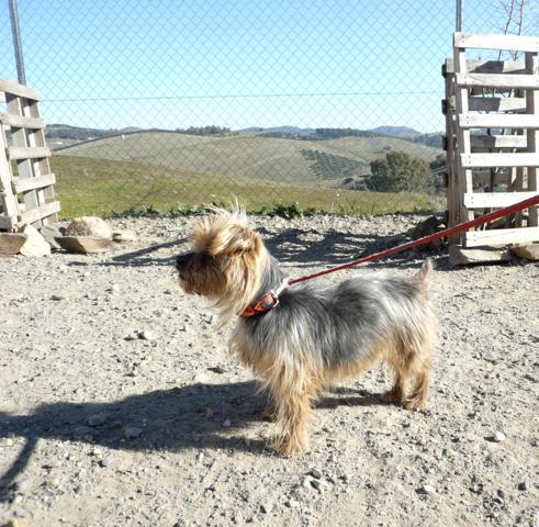 multimedia-foto44663-23-3