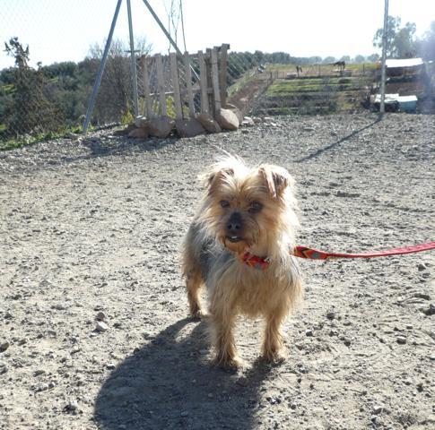 multimedia-foto44664-24-3