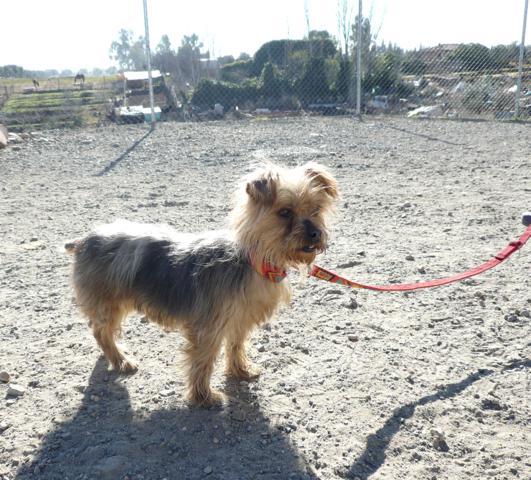 multimedia-foto44665-24-3