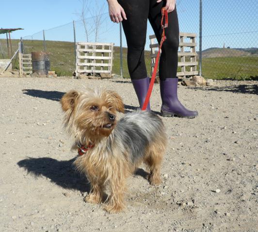 multimedia-foto44666-25-3