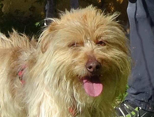 multimedia-foto44667-351-3