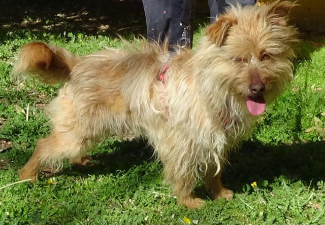 multimedia-foto44668-352-3