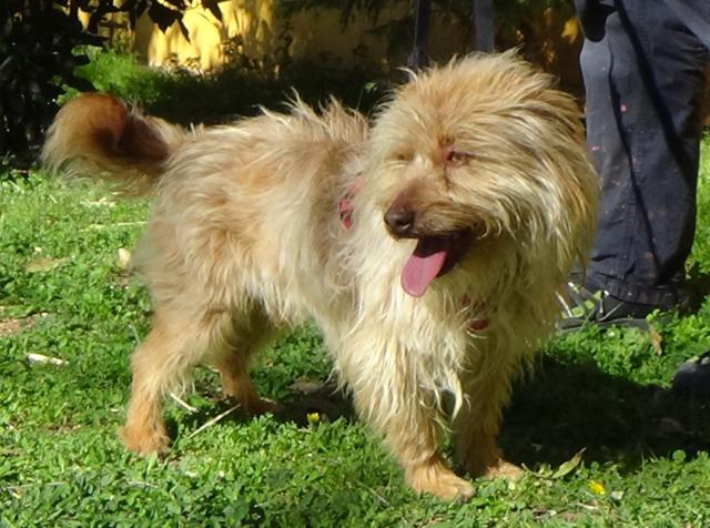 multimedia-foto44669-352-3