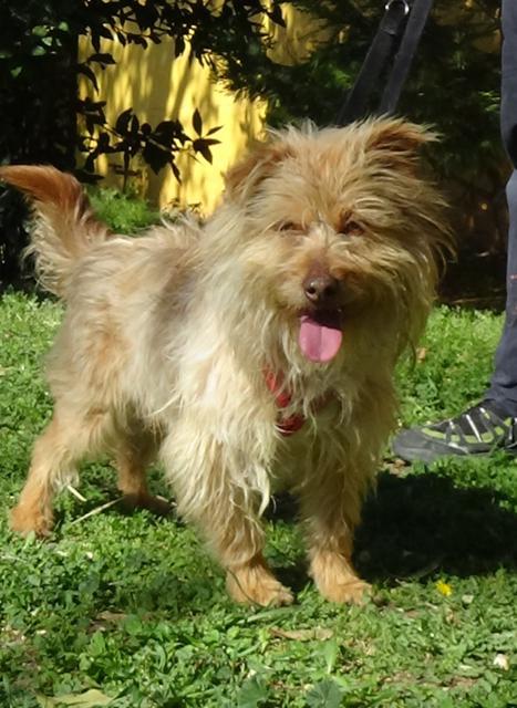 multimedia-foto44670-353-3