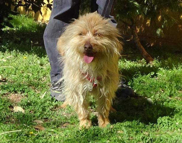 multimedia-foto44671-371-3