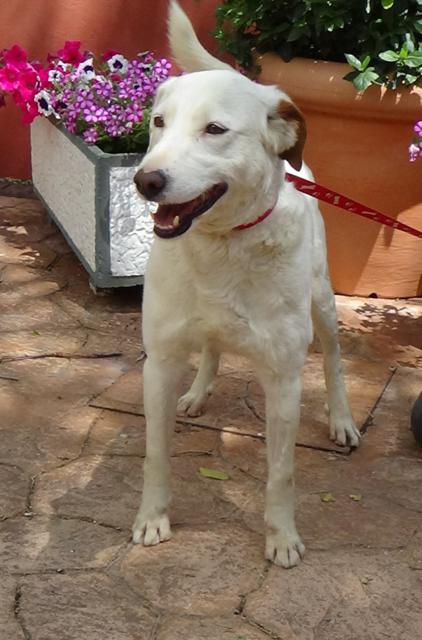 multimedia-foto44672-420-3