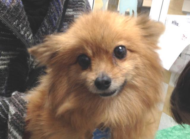 multimedia-foto44696-903-3