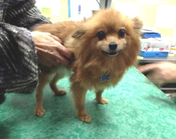 multimedia-foto44697-904-3