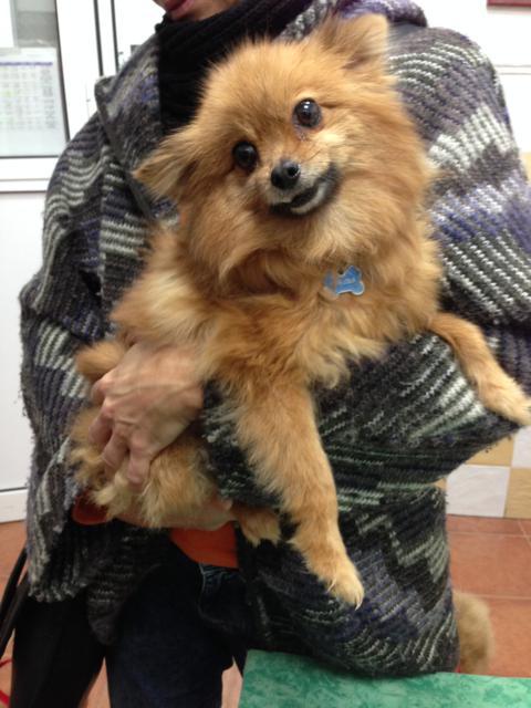 multimedia-foto44698-904-3