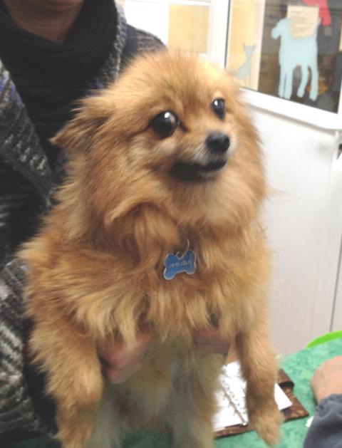 multimedia-foto44699-904-3