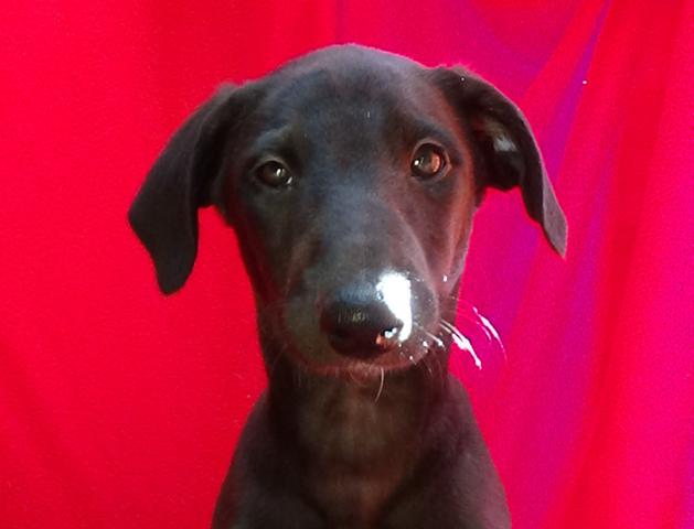 multimedia-foto44720-816-3