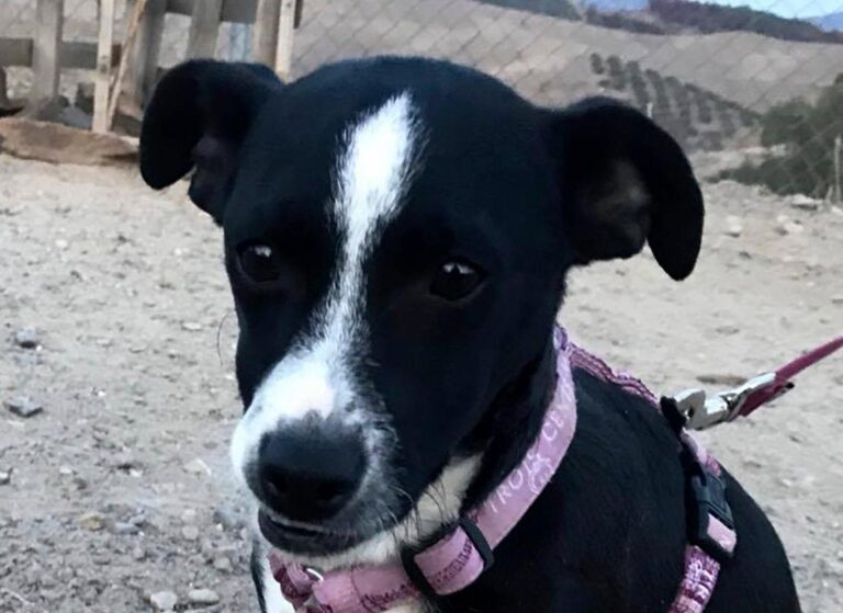 multimedia-foto44741-776-3