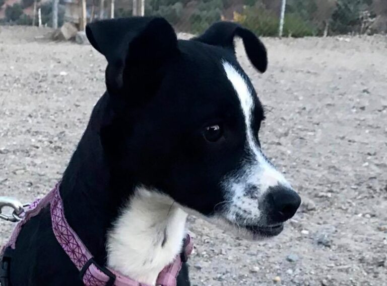 multimedia-foto44742-777-3