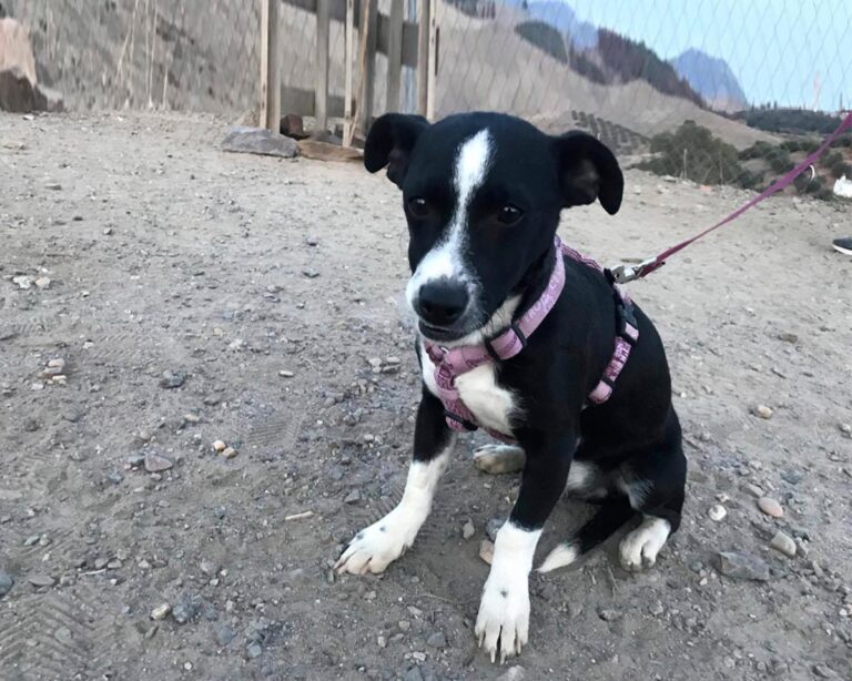 multimedia-foto44744-803-3